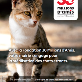 Affiche-campagne-de-sterilisation-des-chats-errants-avec-la-fondation-30-millions-damis.png 1Mo