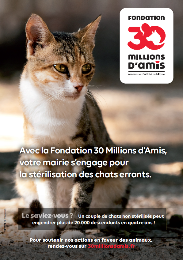 Affiche-campagne-de-sterilisation-des-chats-errants-avec-la-fondation-30-millions-damis.png 1Mo