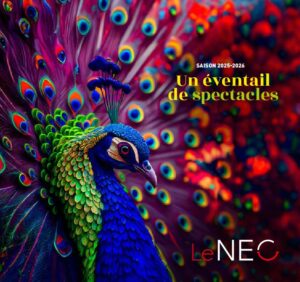 image très colorée d'un paon