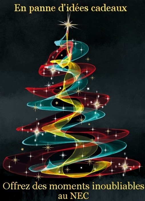 idées cadeaux noël