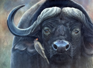 peinture d'un buffle et d'un piqueboeuf