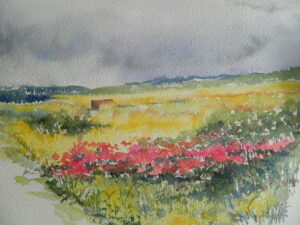 prairie sauvage